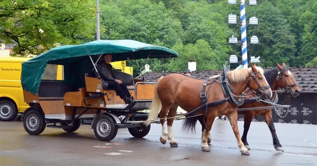 Horse carriage to Neuschwanstein Castle