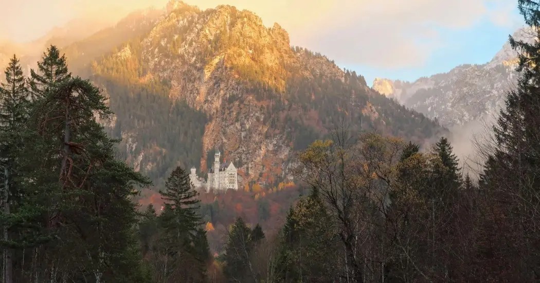 Neuschwanstein Castle seen from Schwansee lake at the golden hour