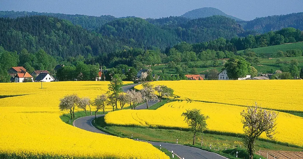  The Romantic Road